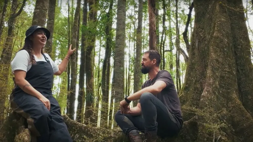 Learning from the forest’s path