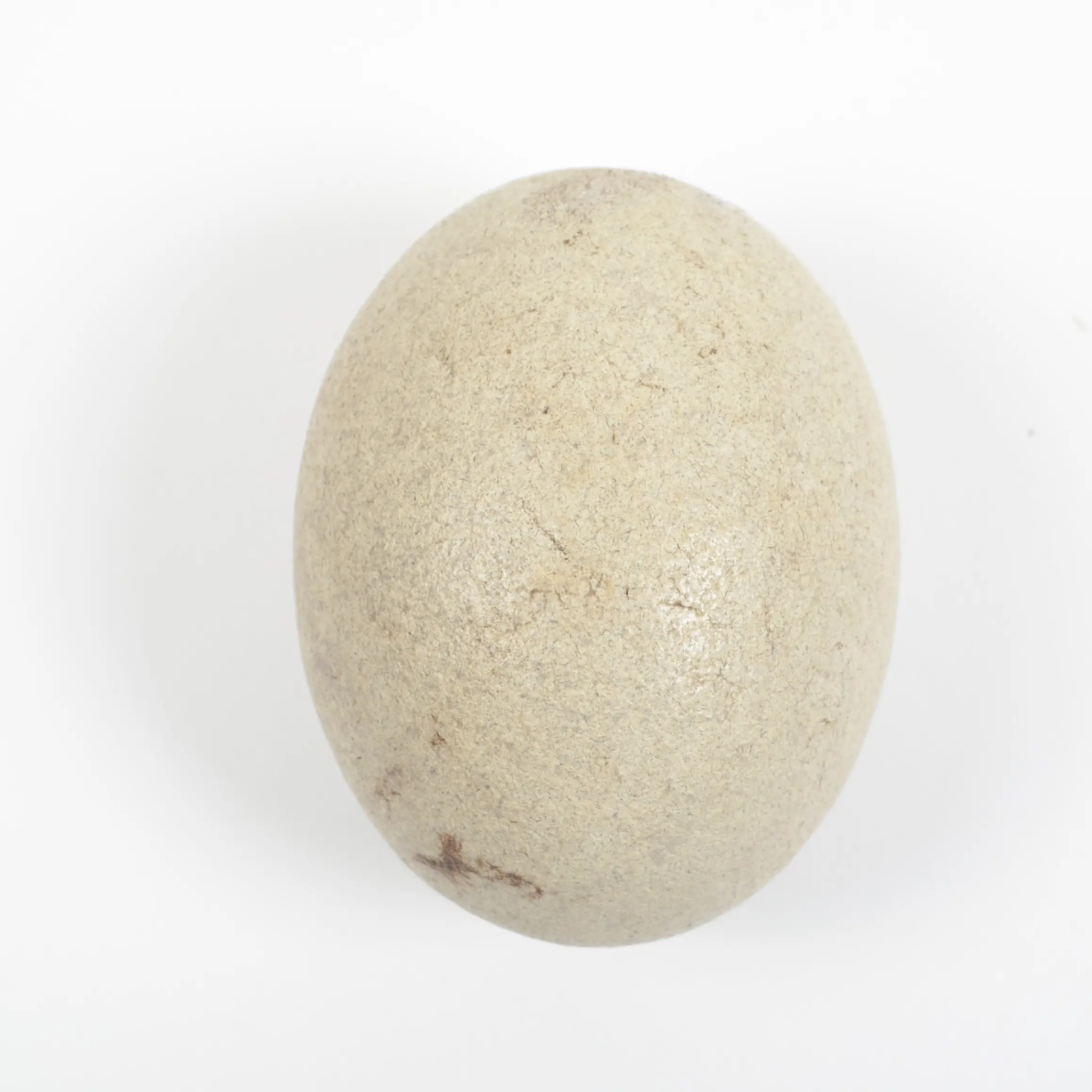 Avoiding the ovoid conclusion