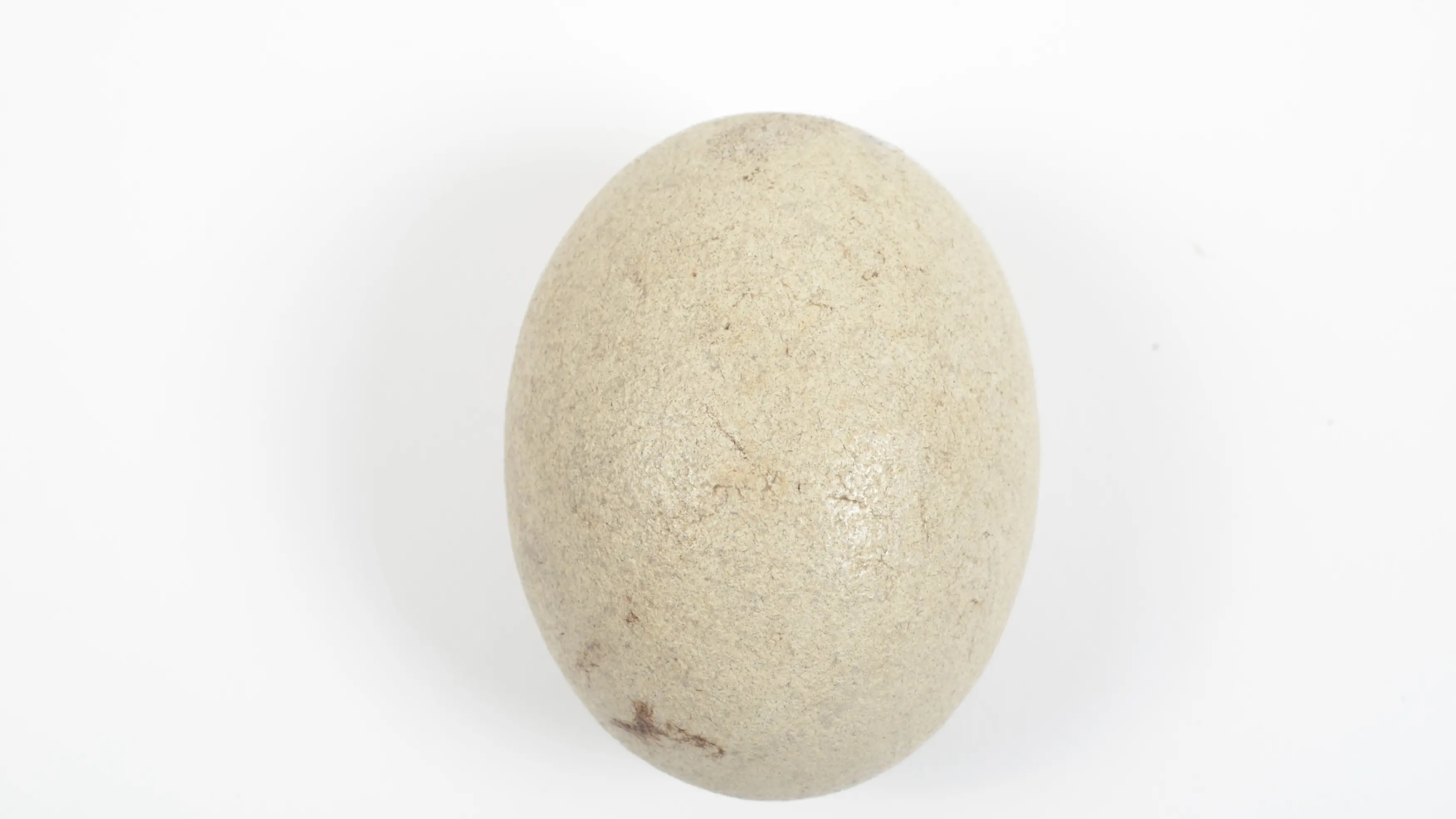 Avoiding the ovoid conclusion