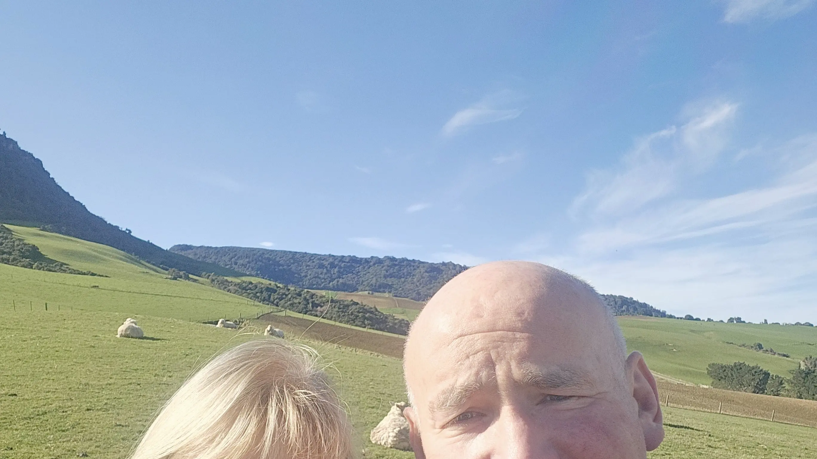 Rural Champions recognised for tireless community work