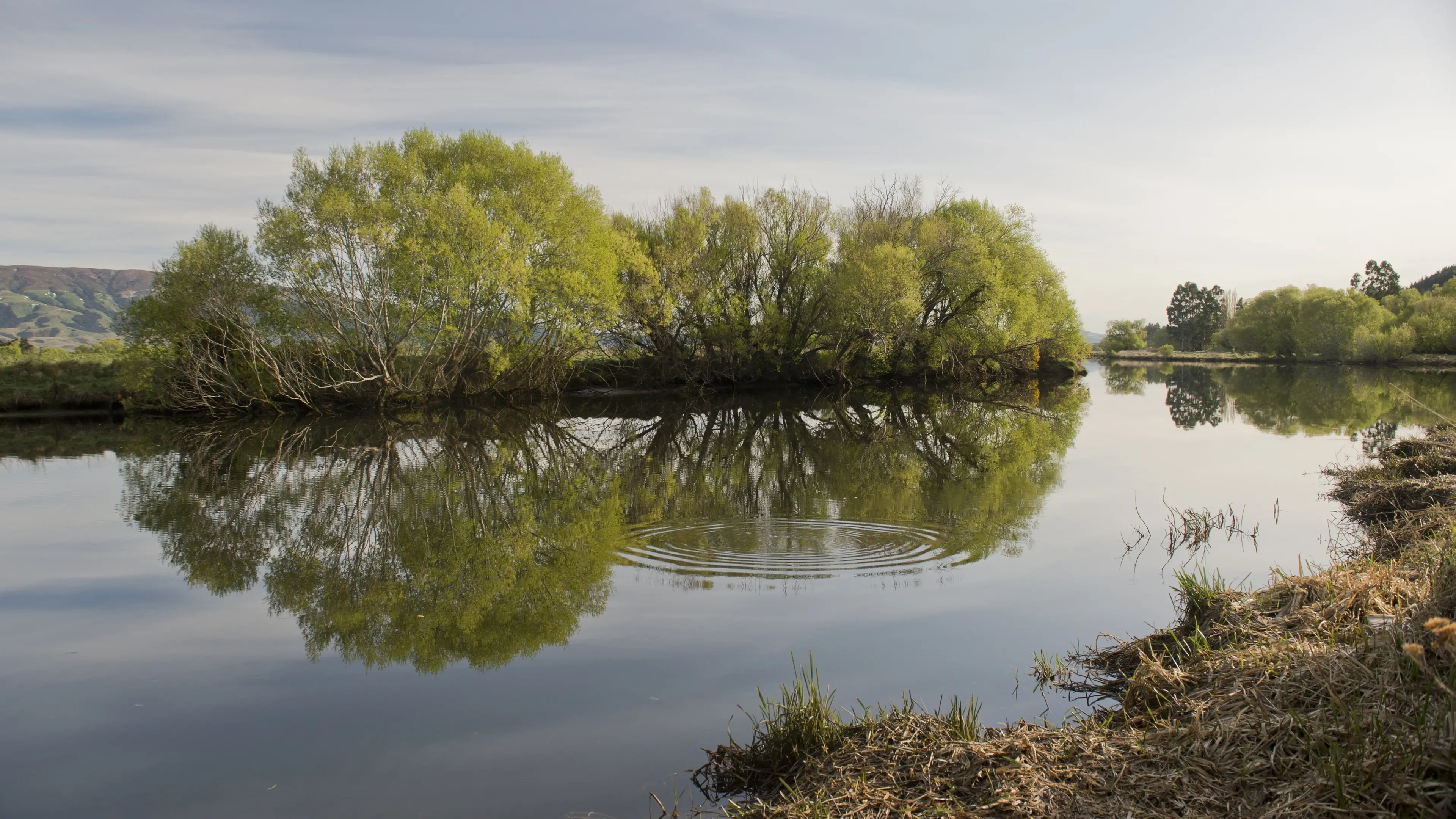 Taieri River looking promising for fishing