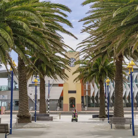What do you think of the plan to upgrade New Brighton mall?