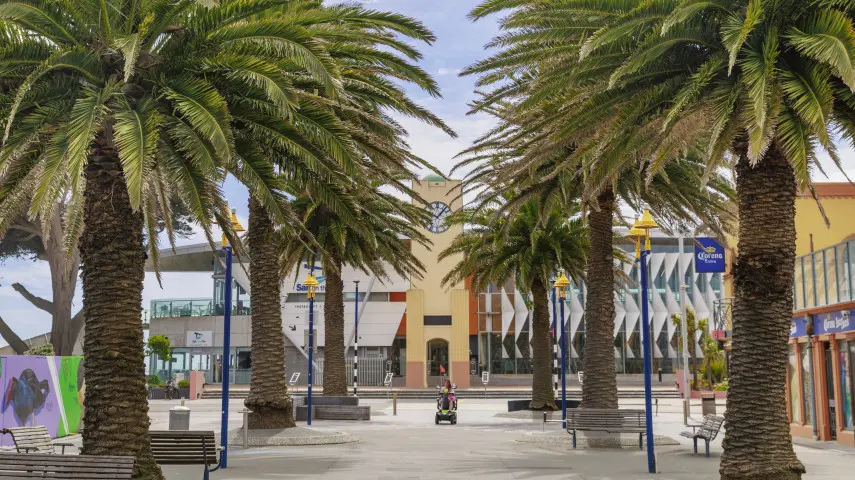 What do you think of the plan to upgrade New Brighton mall?