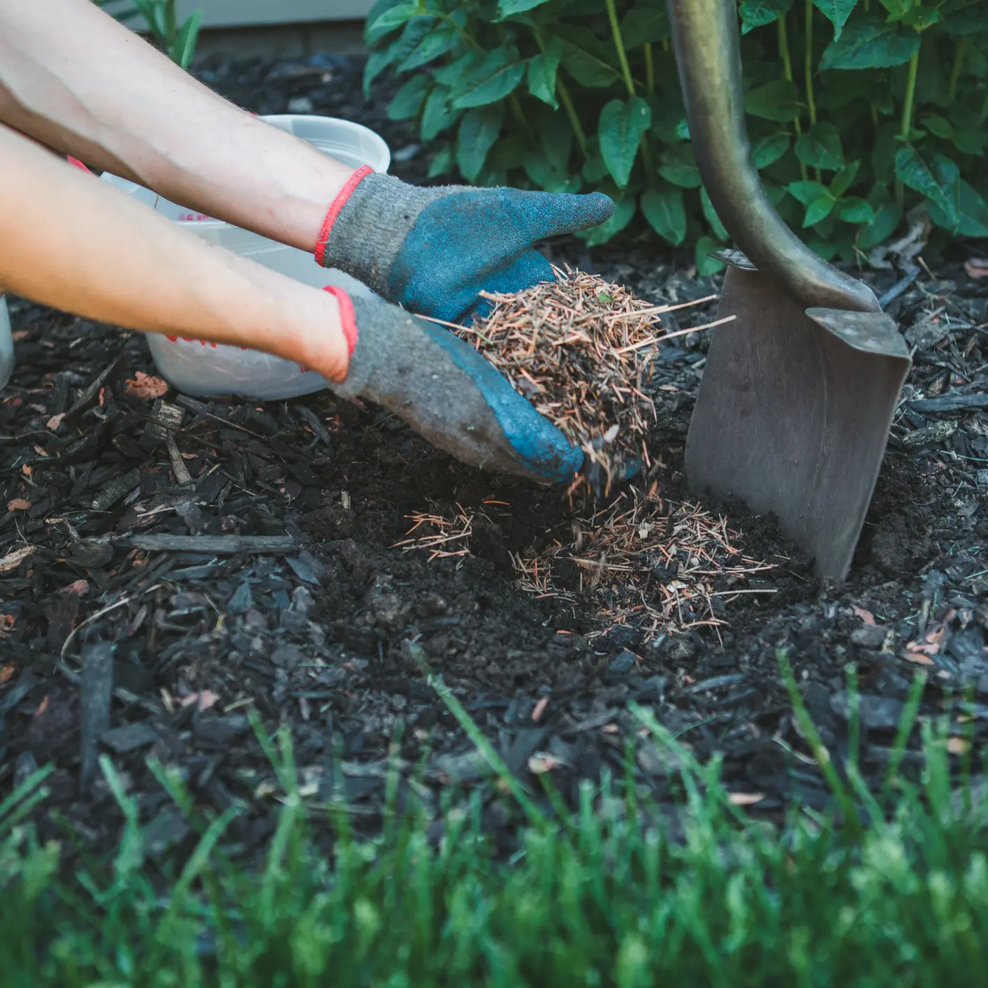 Your garden