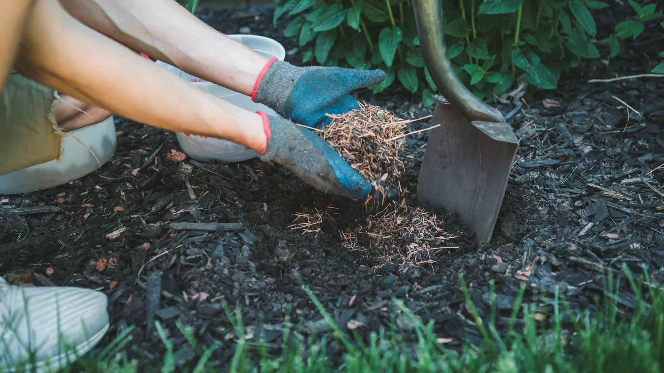 Your garden
