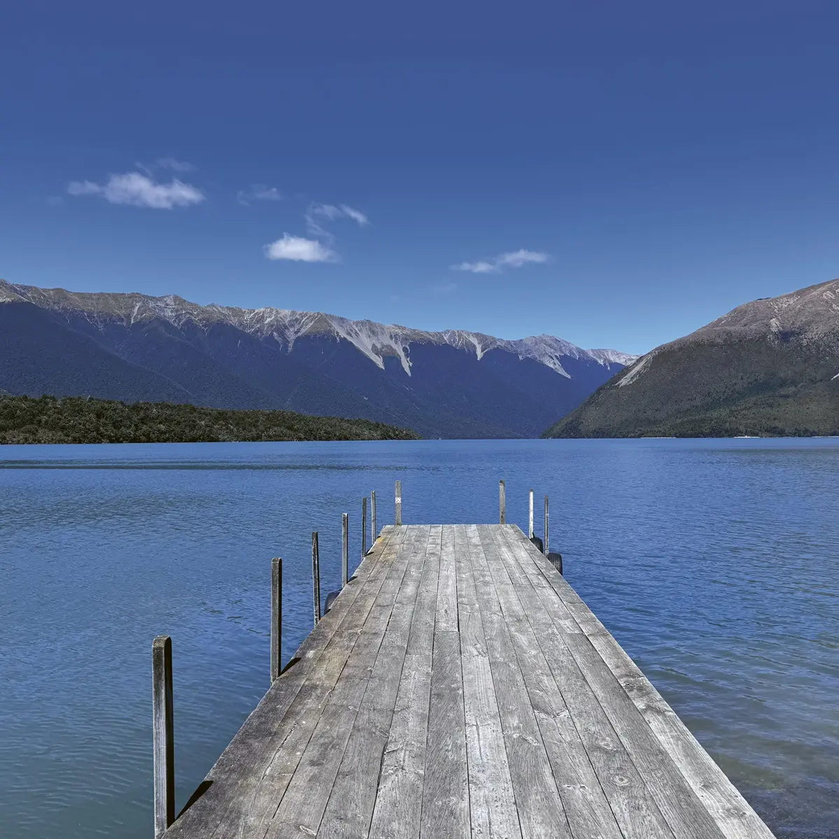 Famous for stunning setting, massive eels