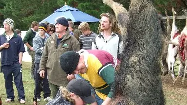 Contest weigh-in draws 150