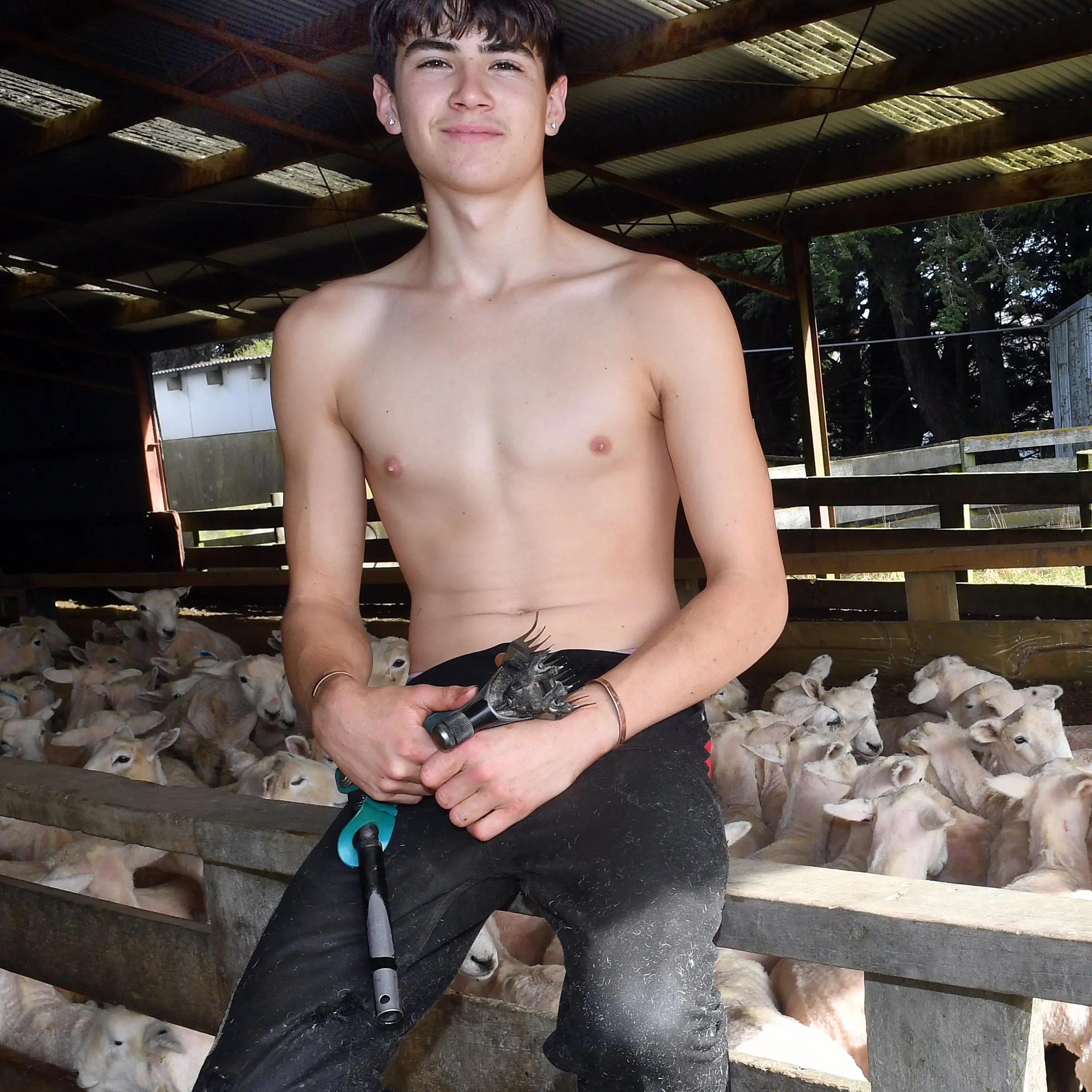 Big things tipped for young shearer