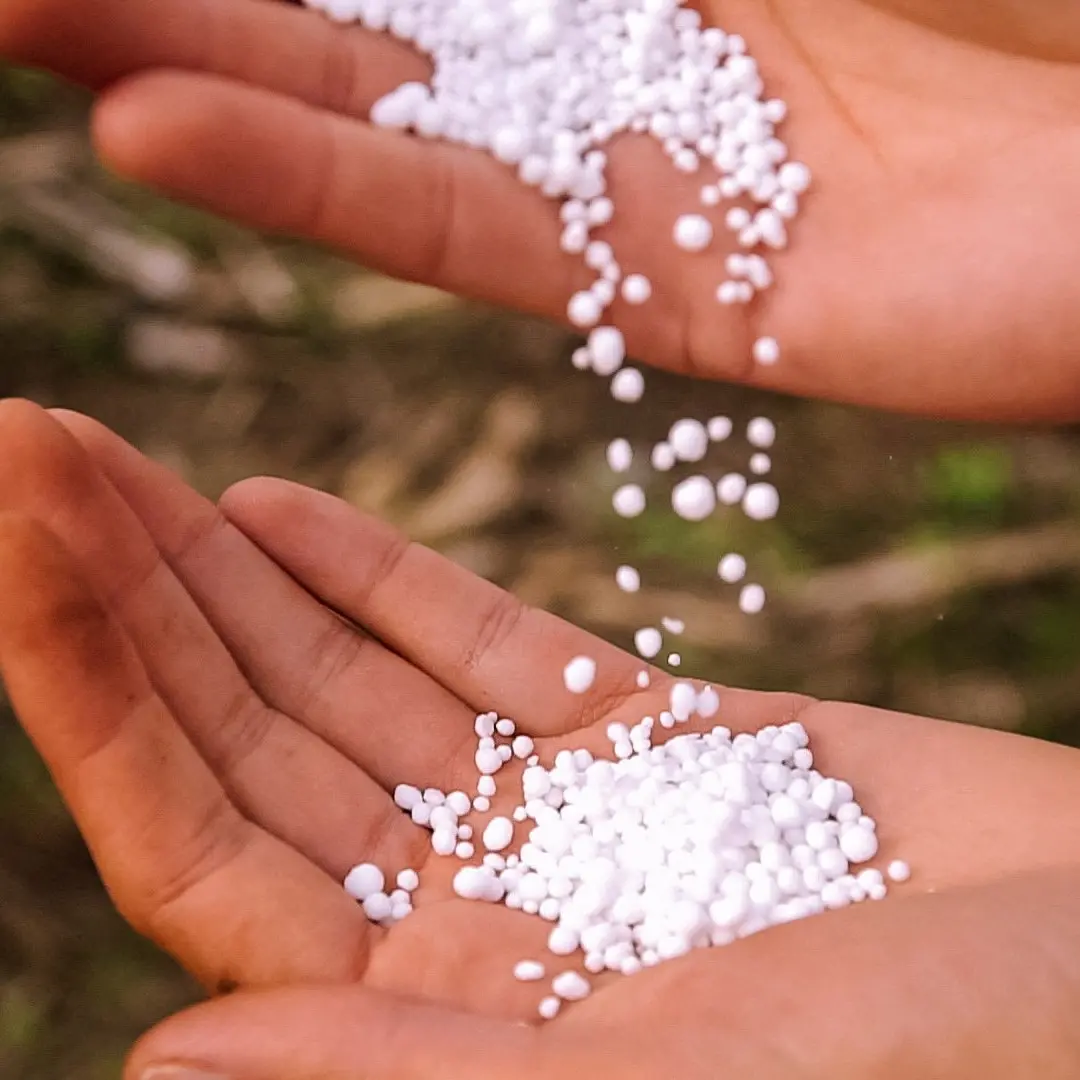 $3b fertiliser plant proposed