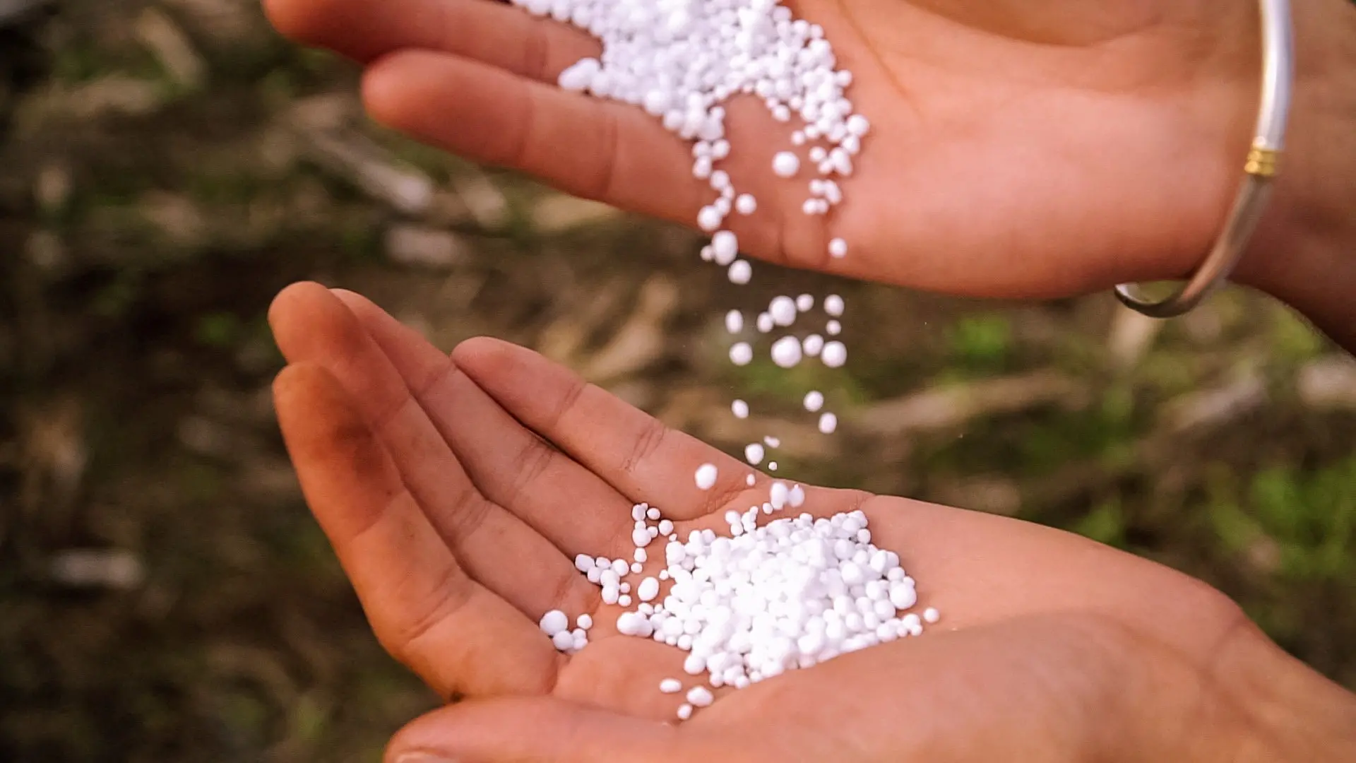 $3b fertiliser plant proposed