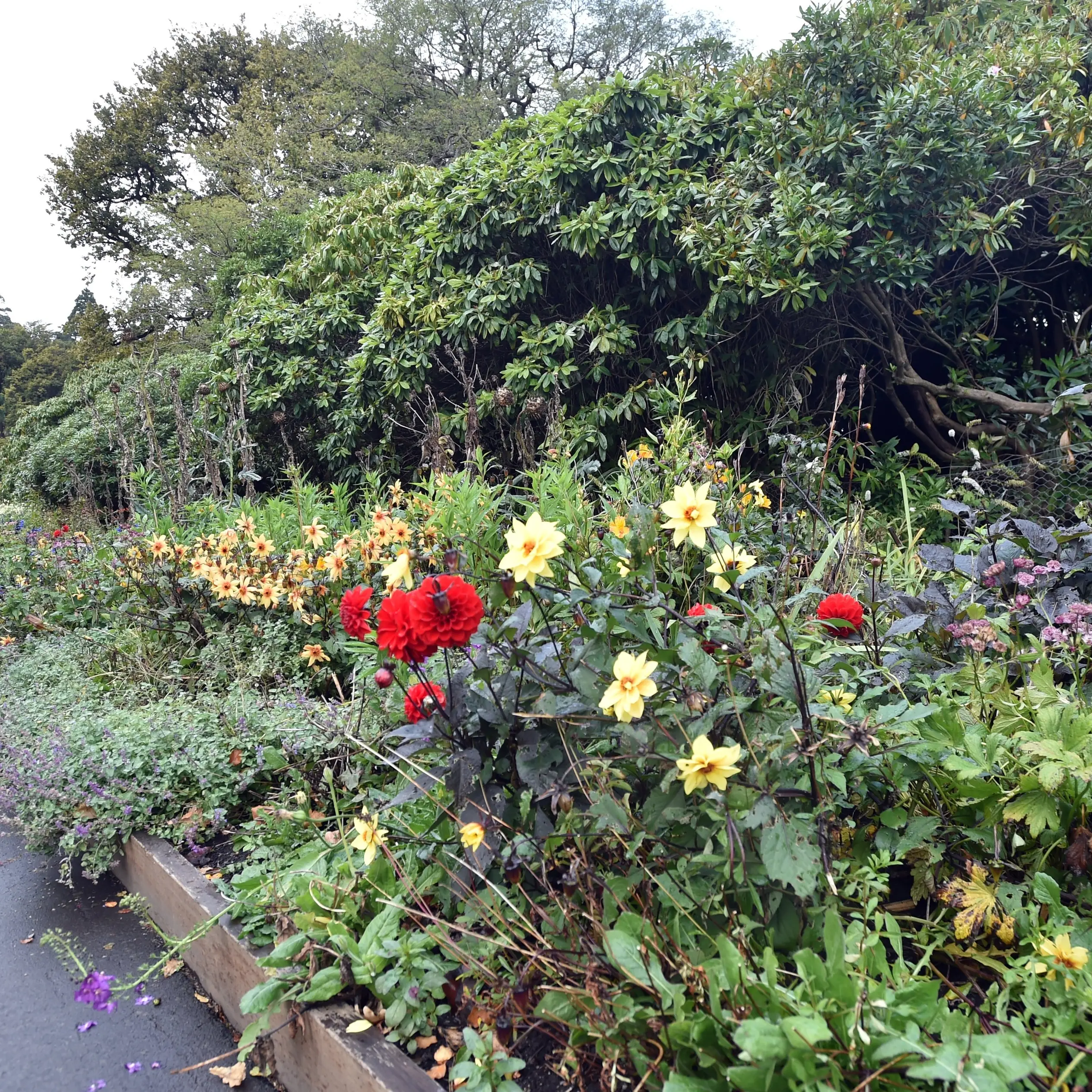 Windbreaks beneficial for more than plants