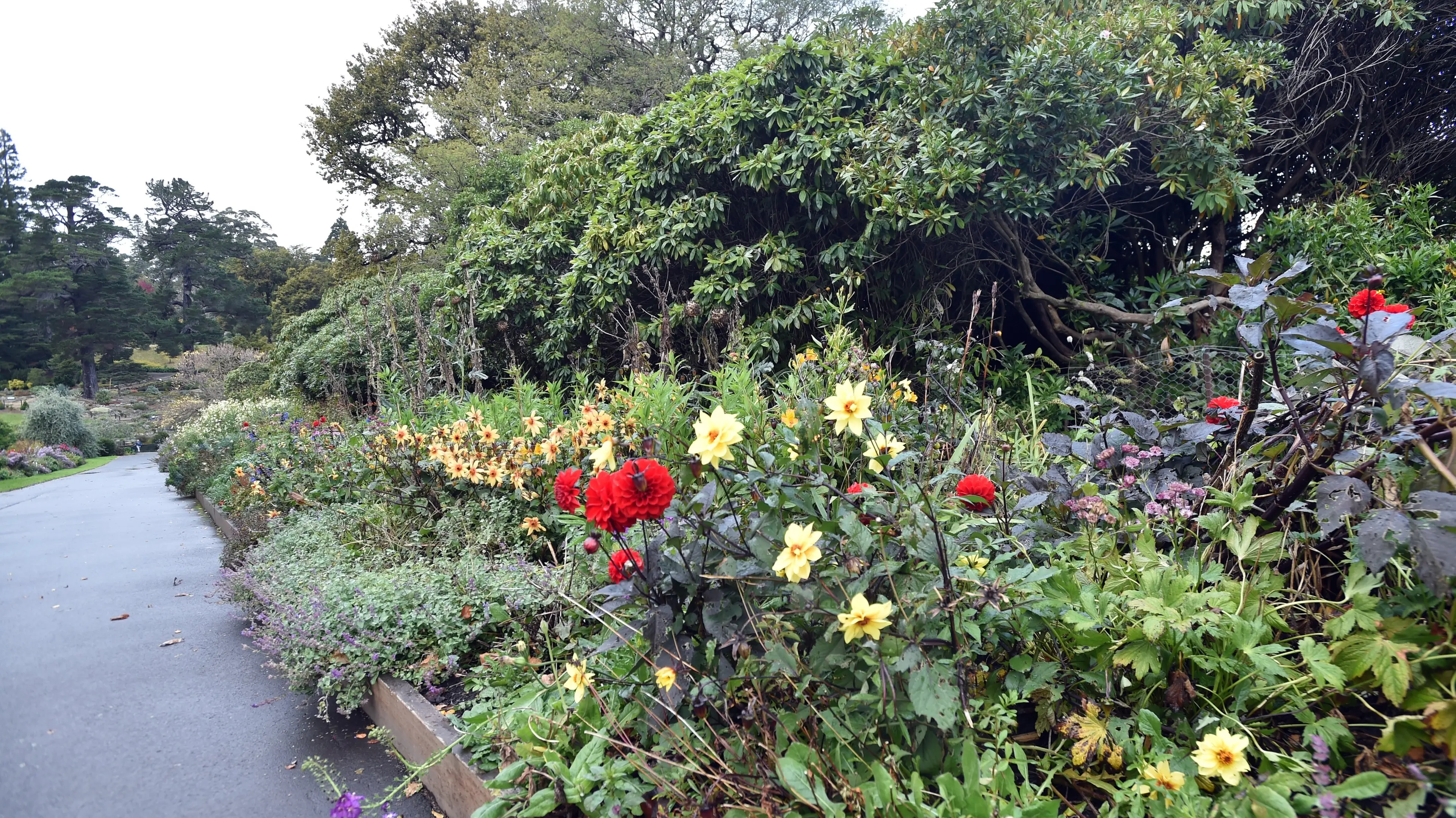 Windbreaks beneficial for more than plants