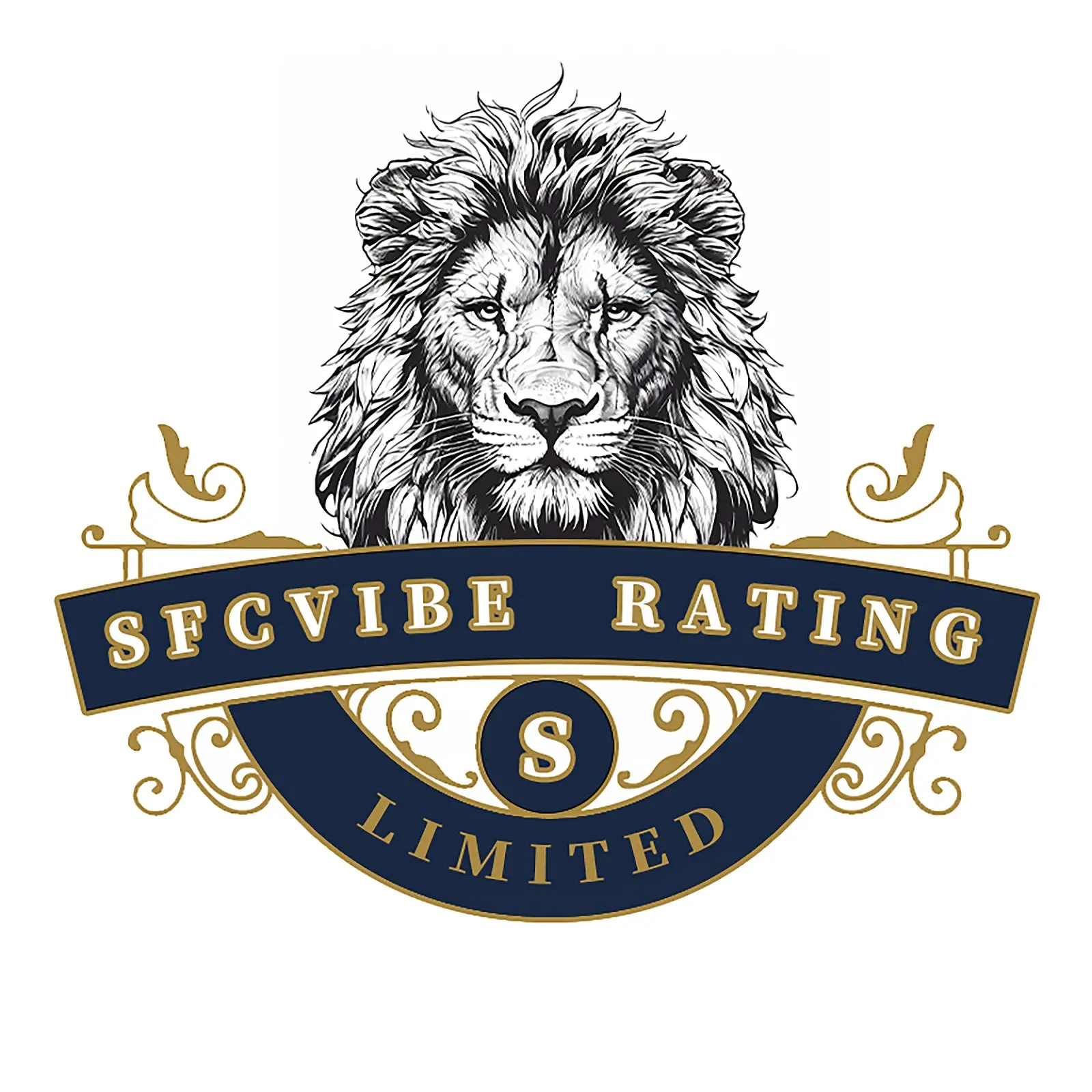 SFCVibe brand credibility and social responsibility statement