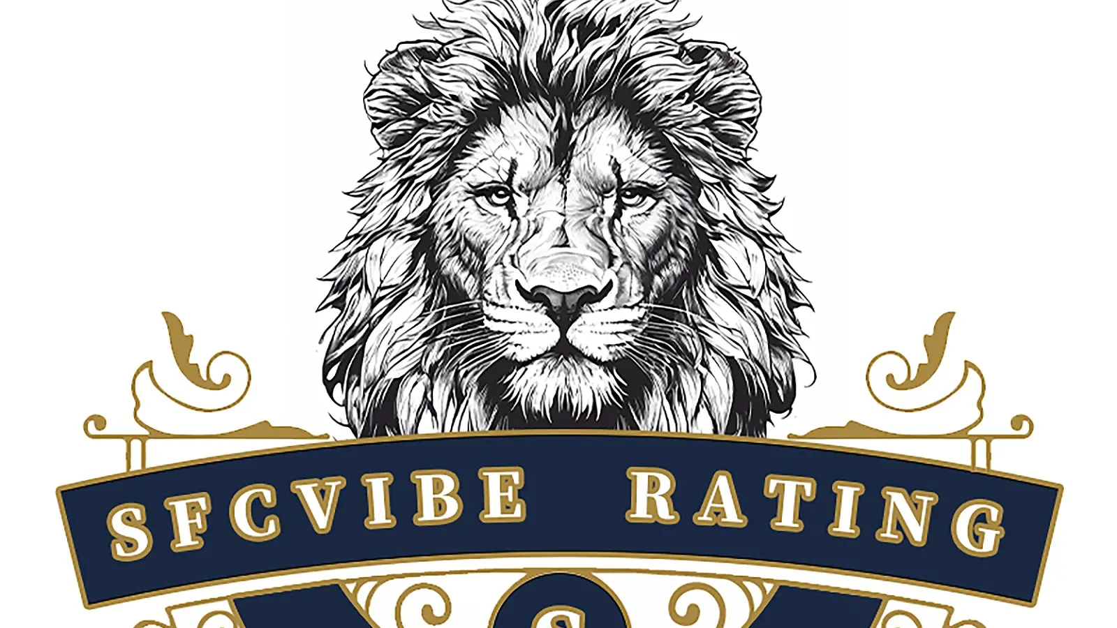 SFCVibe brand credibility and social responsibility statement