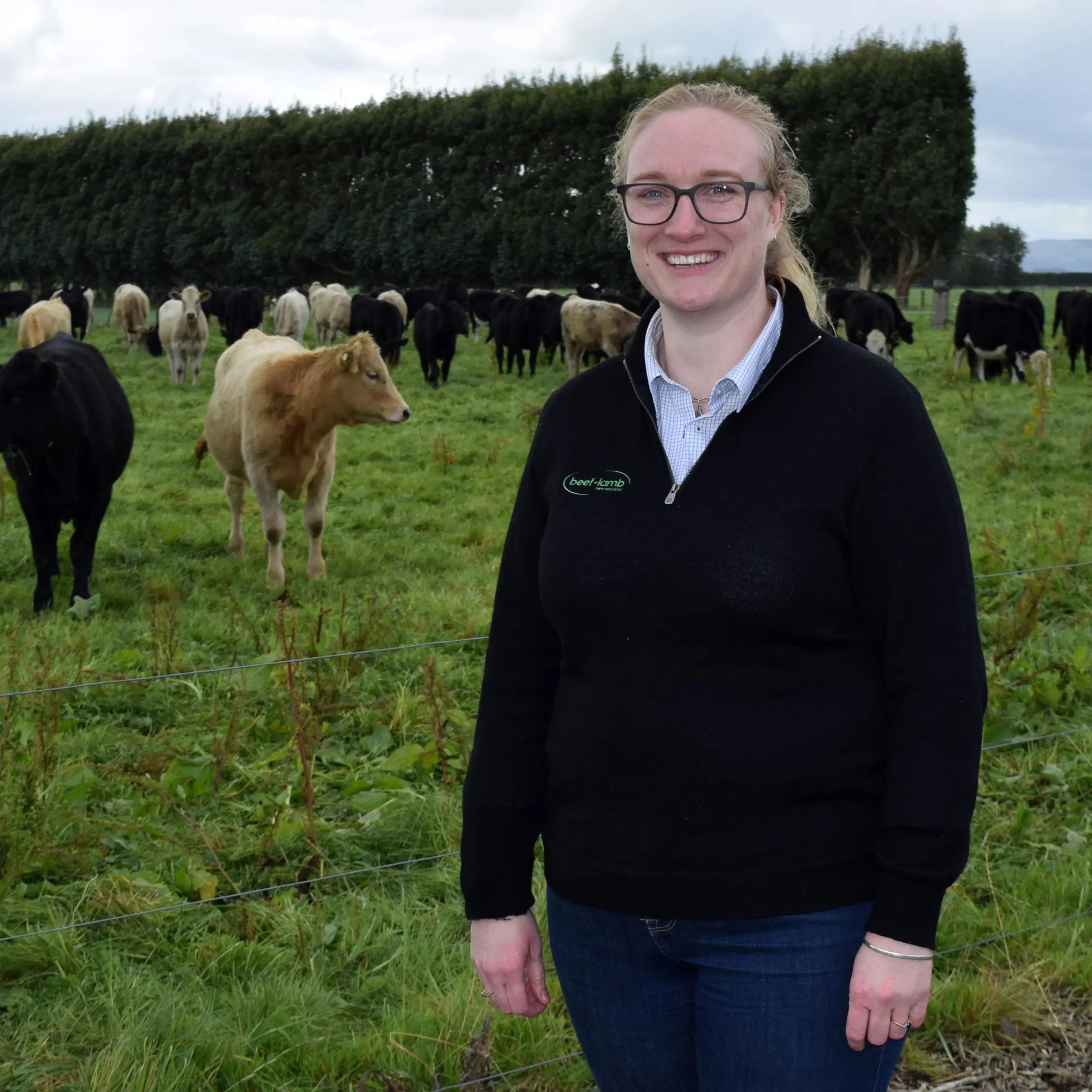 Programme aims to grow sector