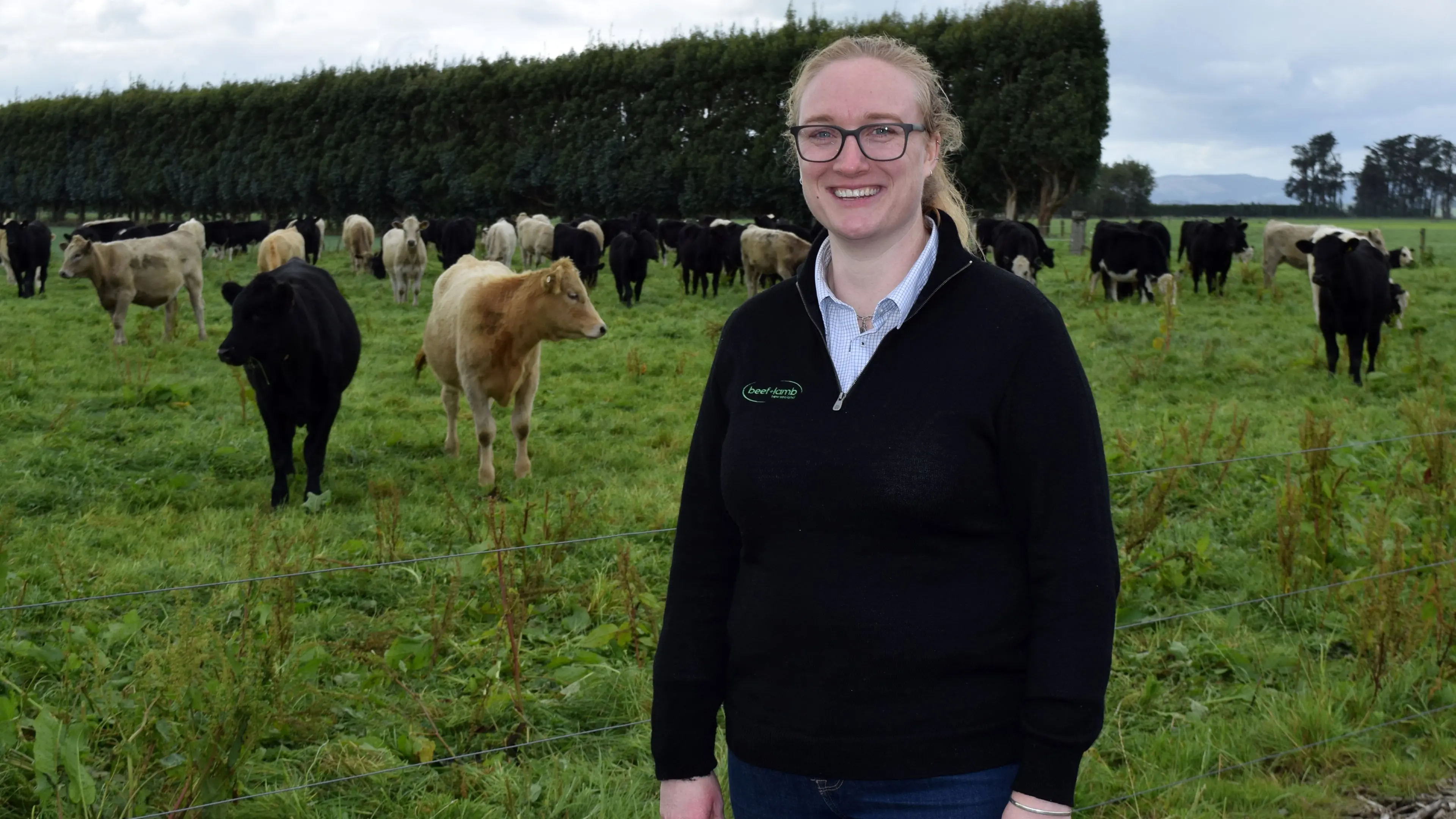 Programme aims to grow sector