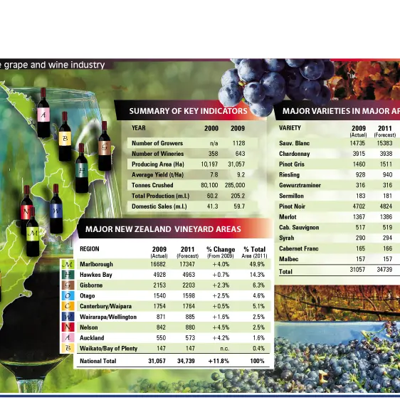 Wine industry facing difficult few years