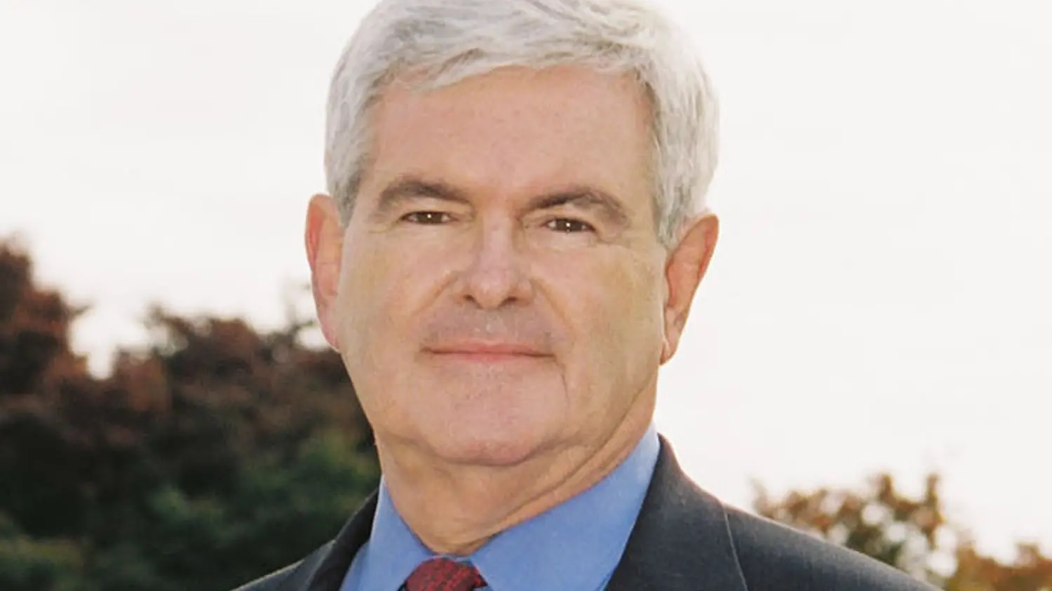 Letters to the Editor: mining, Ong and Newt Gingrich