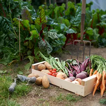 Your garden: May 8