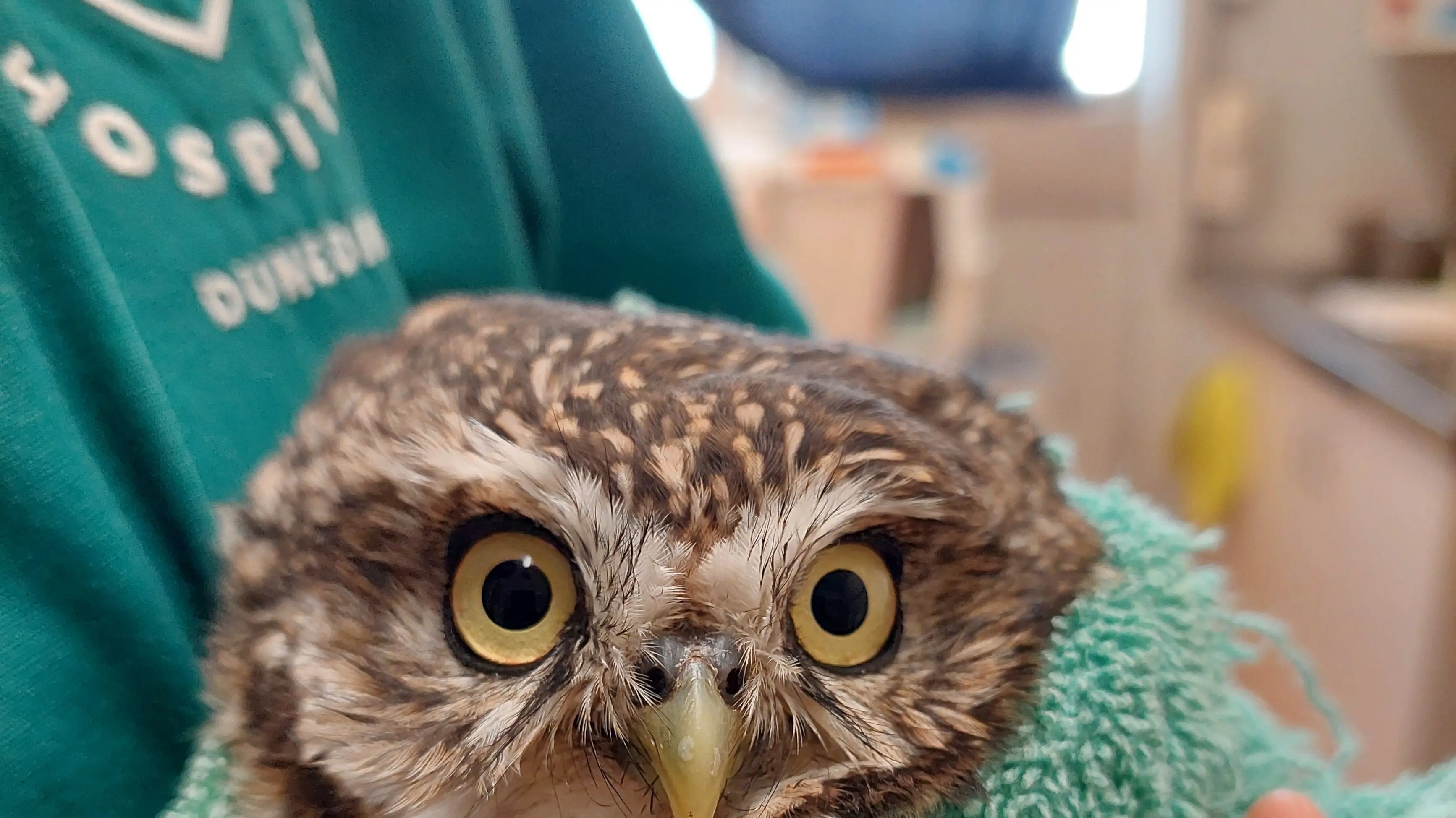A German in hospital