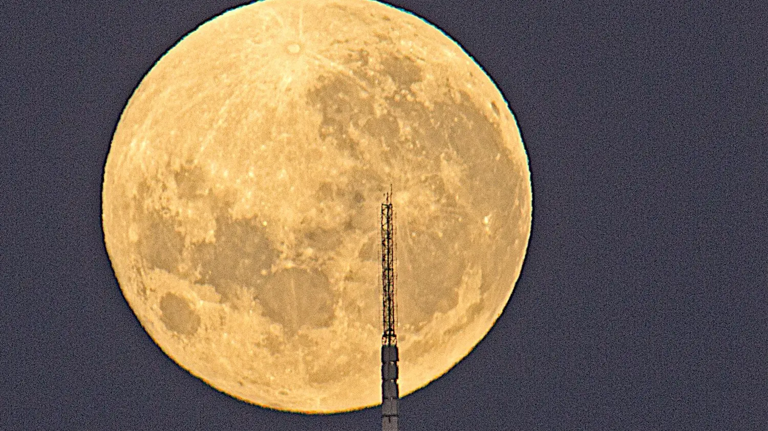 A moon to watch with pumpkin soup