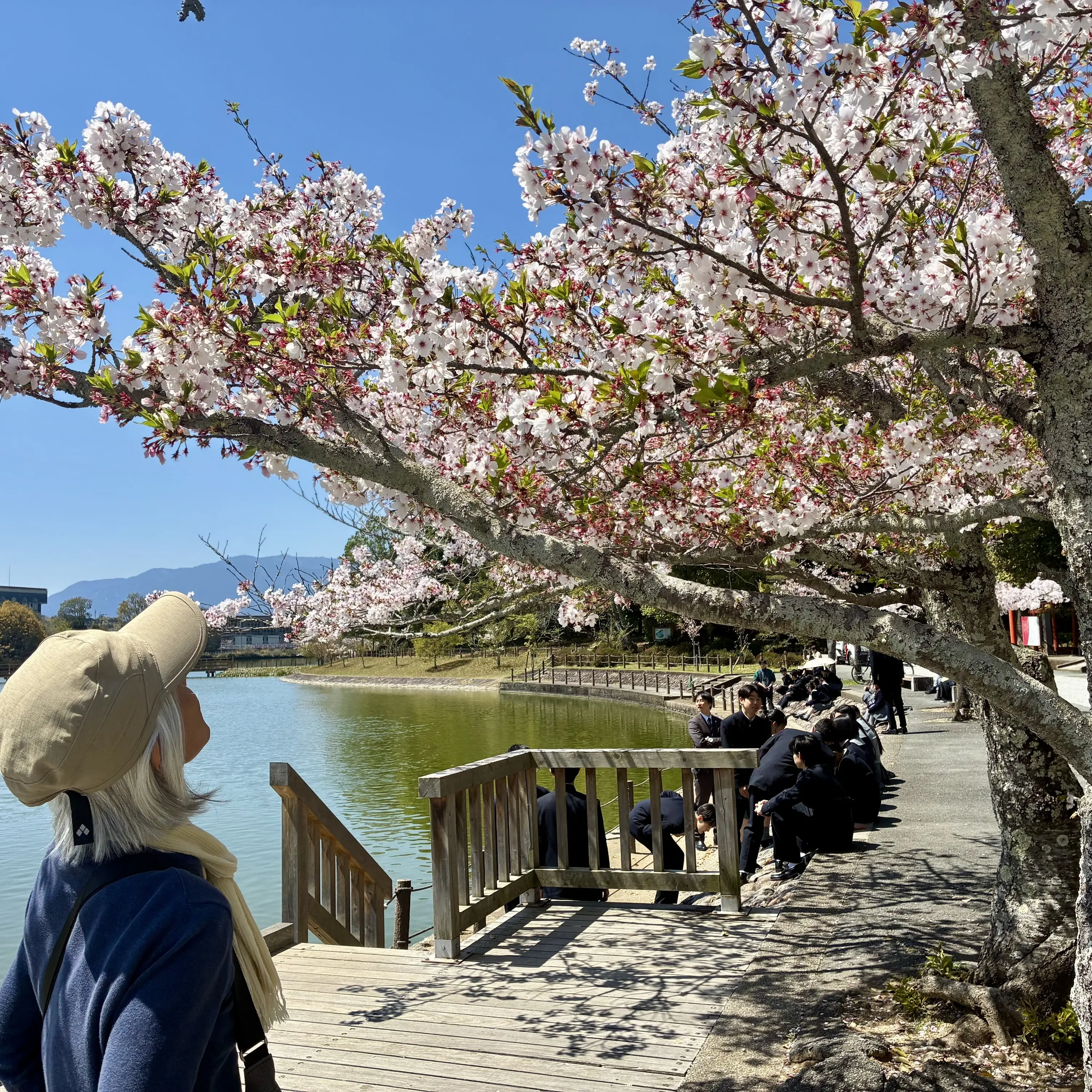 Undiscovered gems of Japan