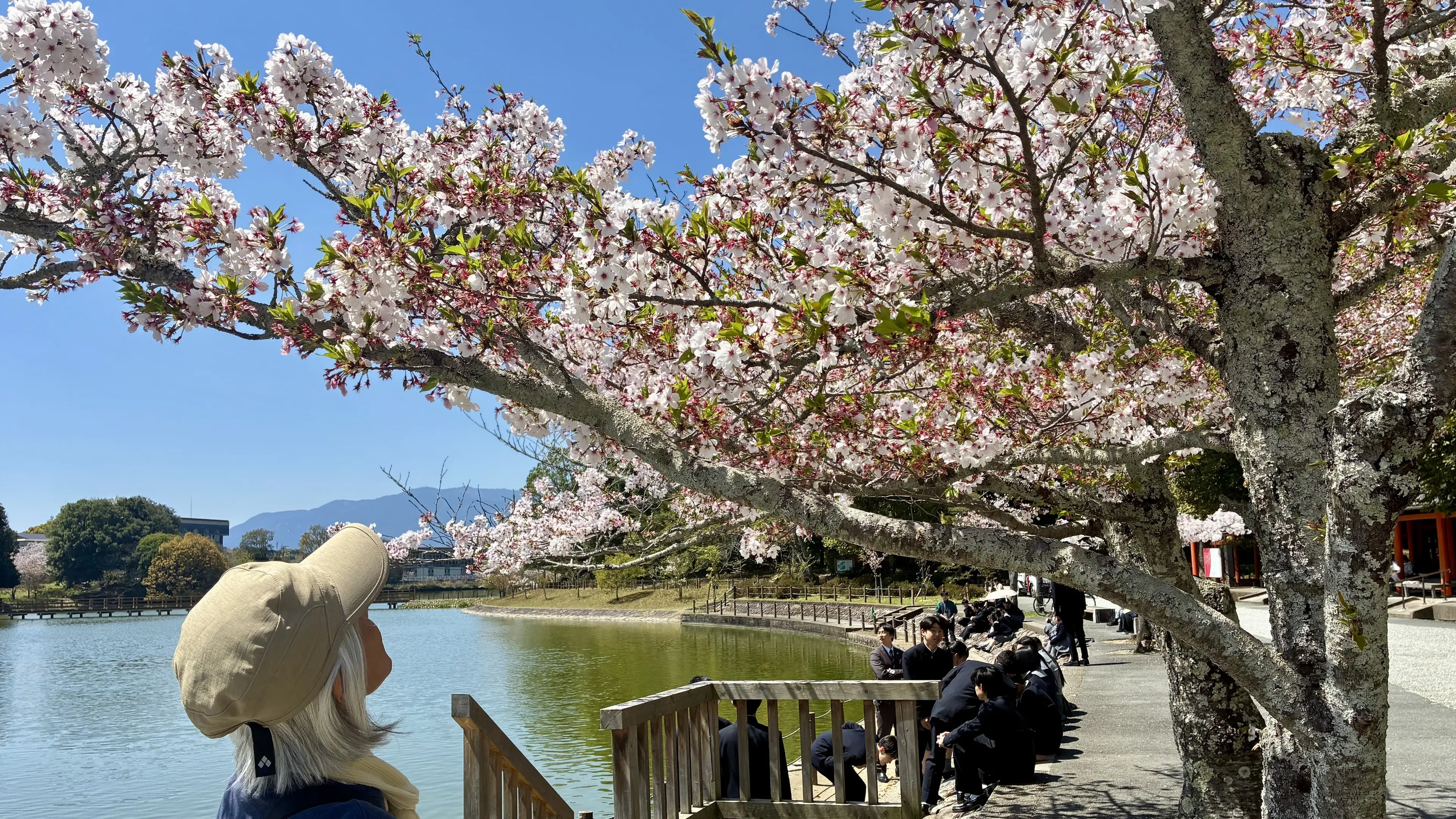 Undiscovered gems of Japan