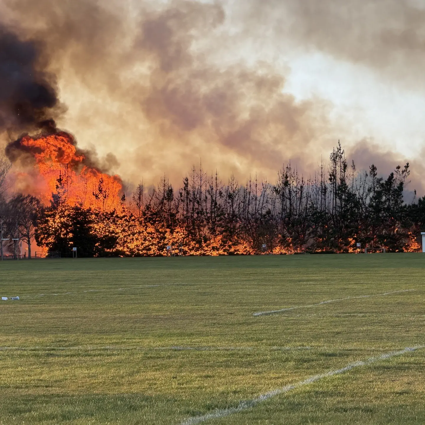 Teens referred to Youth Aid over school fire