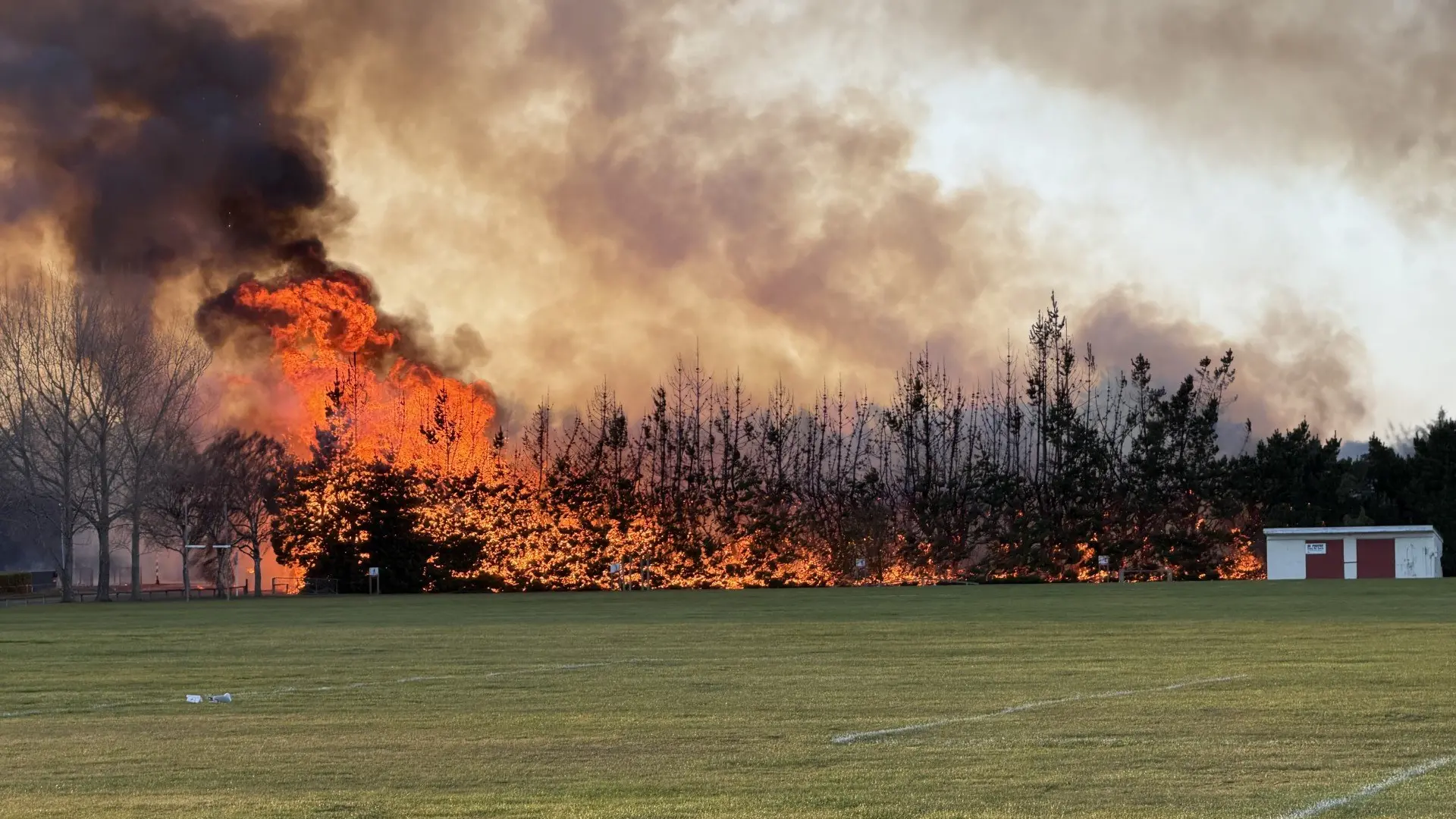 Teens referred to Youth Aid over school fire