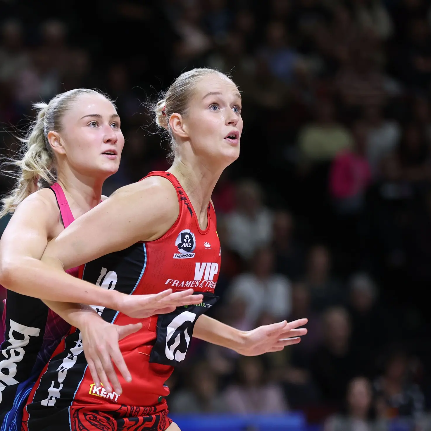 Steel to host elimination final after tight win against Tactix