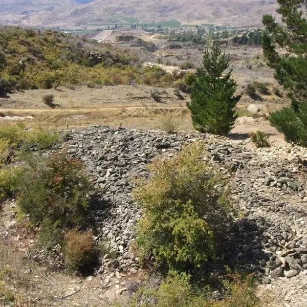 Father and son convicted for removing gold tailings