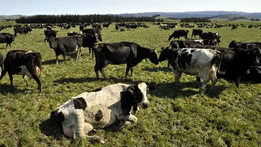 Is dairy expansion nearing its peak?