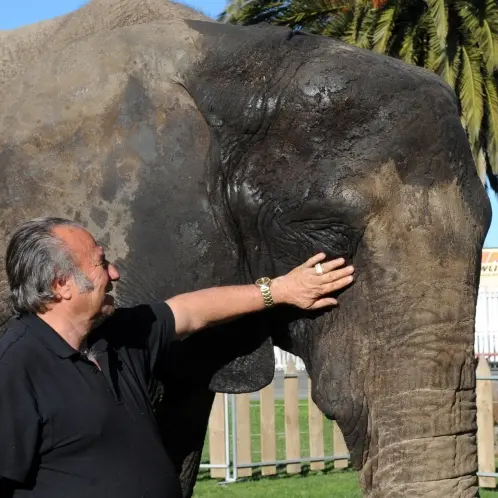 Jumbo-sized payout for sacked elephant handler