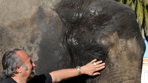 Jumbo-sized payout for sacked elephant handler