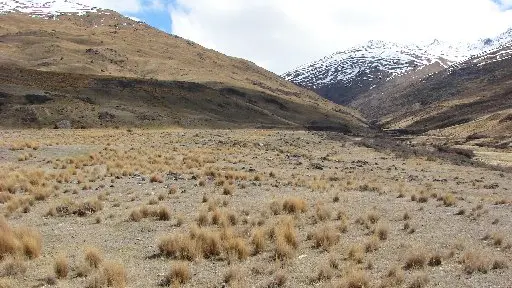 Consent granted for gold mine - at a cost