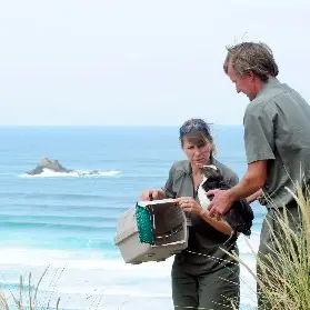 Doc pleased vulnerable penguin reported