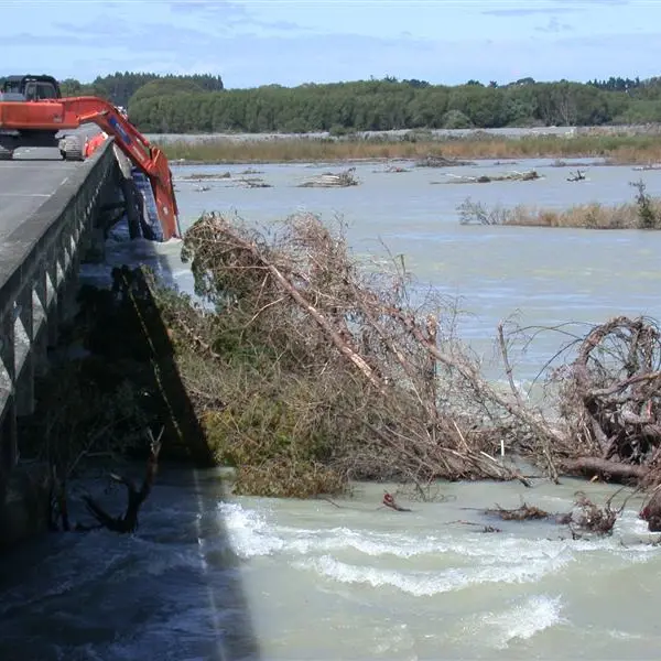 Flood deposits trees on bridge