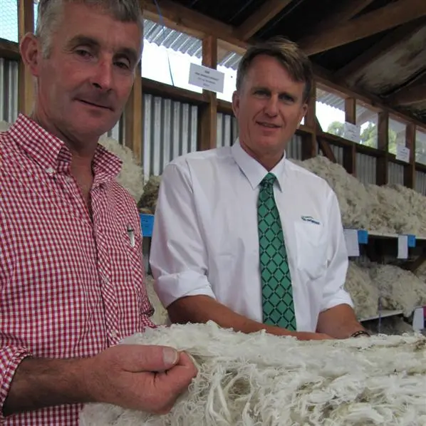Bid to create new wool farmers' co-operative