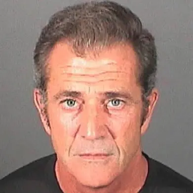 Mel Gibson booked and released on battery charge
