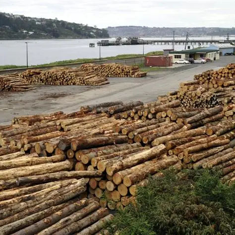Japan rebuild timber trade boost
