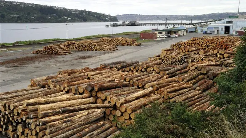Japan rebuild timber trade boost