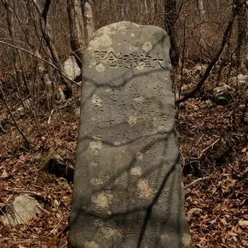 Stones show Japan's ancestors knew of tsunami danger