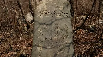 Stones show Japan's ancestors knew of tsunami danger
