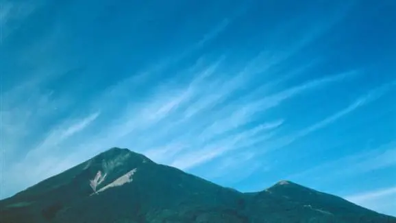 Danger in paradise