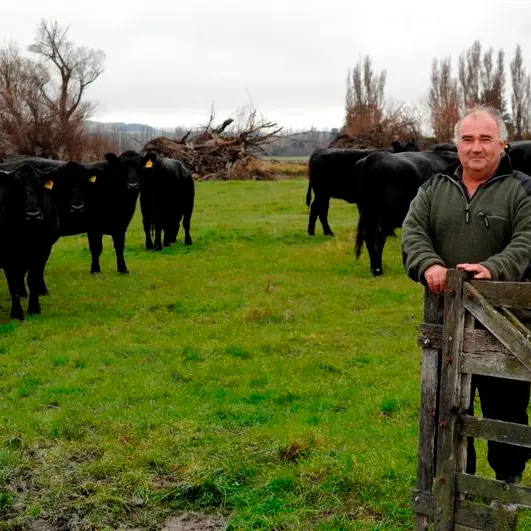 Strategy to boost meat earnings