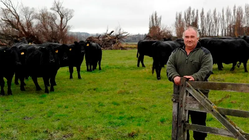 Strategy to boost meat earnings