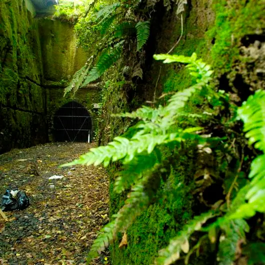 Commitment to reopen tunnel despite warning
