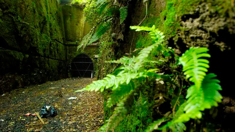 Commitment to reopen tunnel despite warning