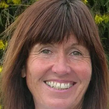 Praise for freedom camping clamp-down bid