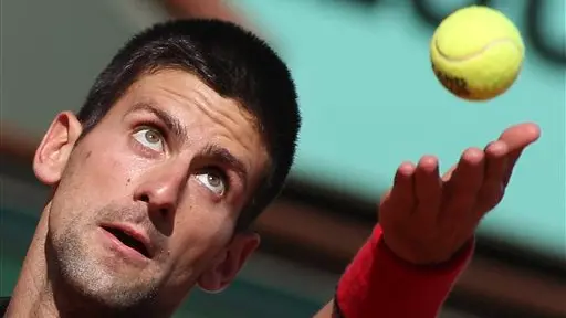 Tennis: Djokovic, Federer advance in French Open